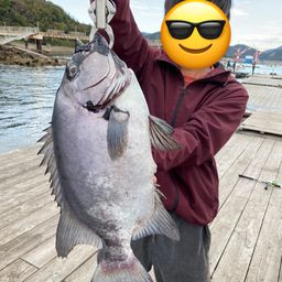 イシダイ