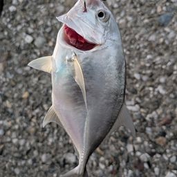 メッキ