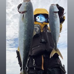 ワカシ
