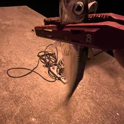 サバ