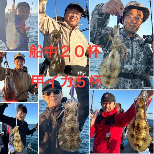 アオリイカの釣果
