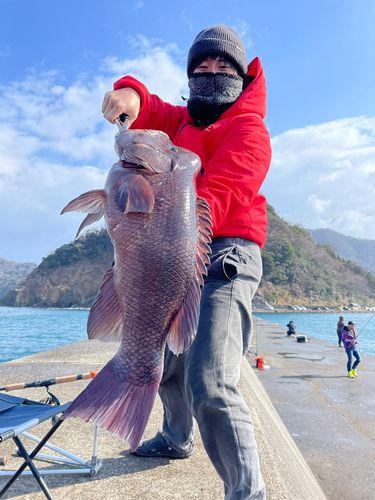 内浦湾