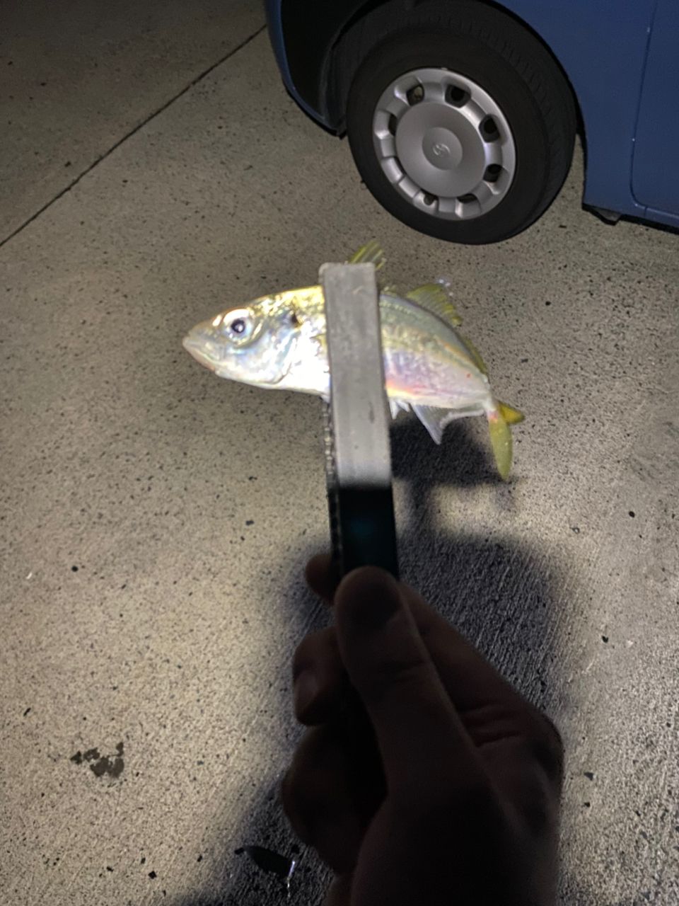 クロソイ