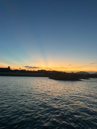 釣果