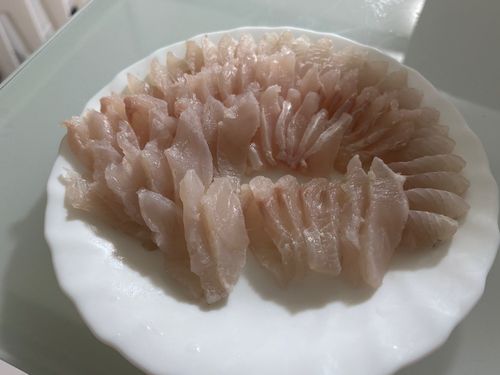 アイナメの釣果