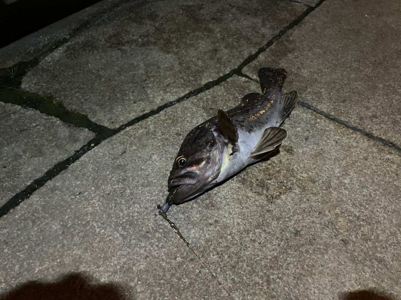 クロソイ