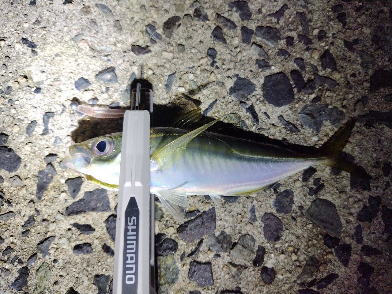 SHIMANO 20ソアレ エクスチューン S58SUL-Sの最安値・インプレ