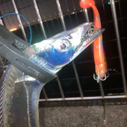タチウオ