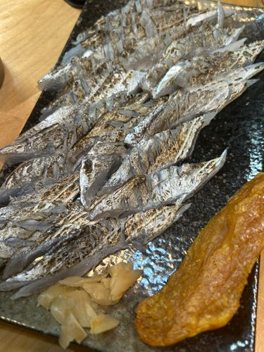 タチウオの釣果