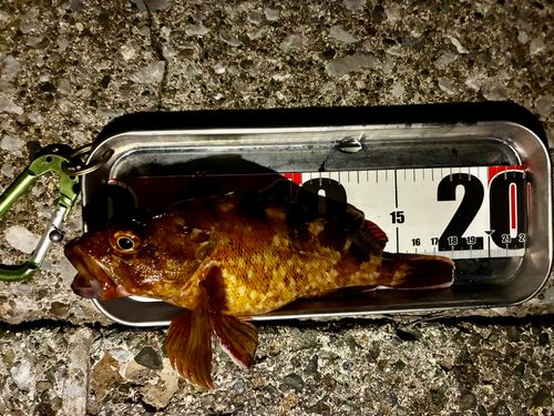 磯子海づり施設