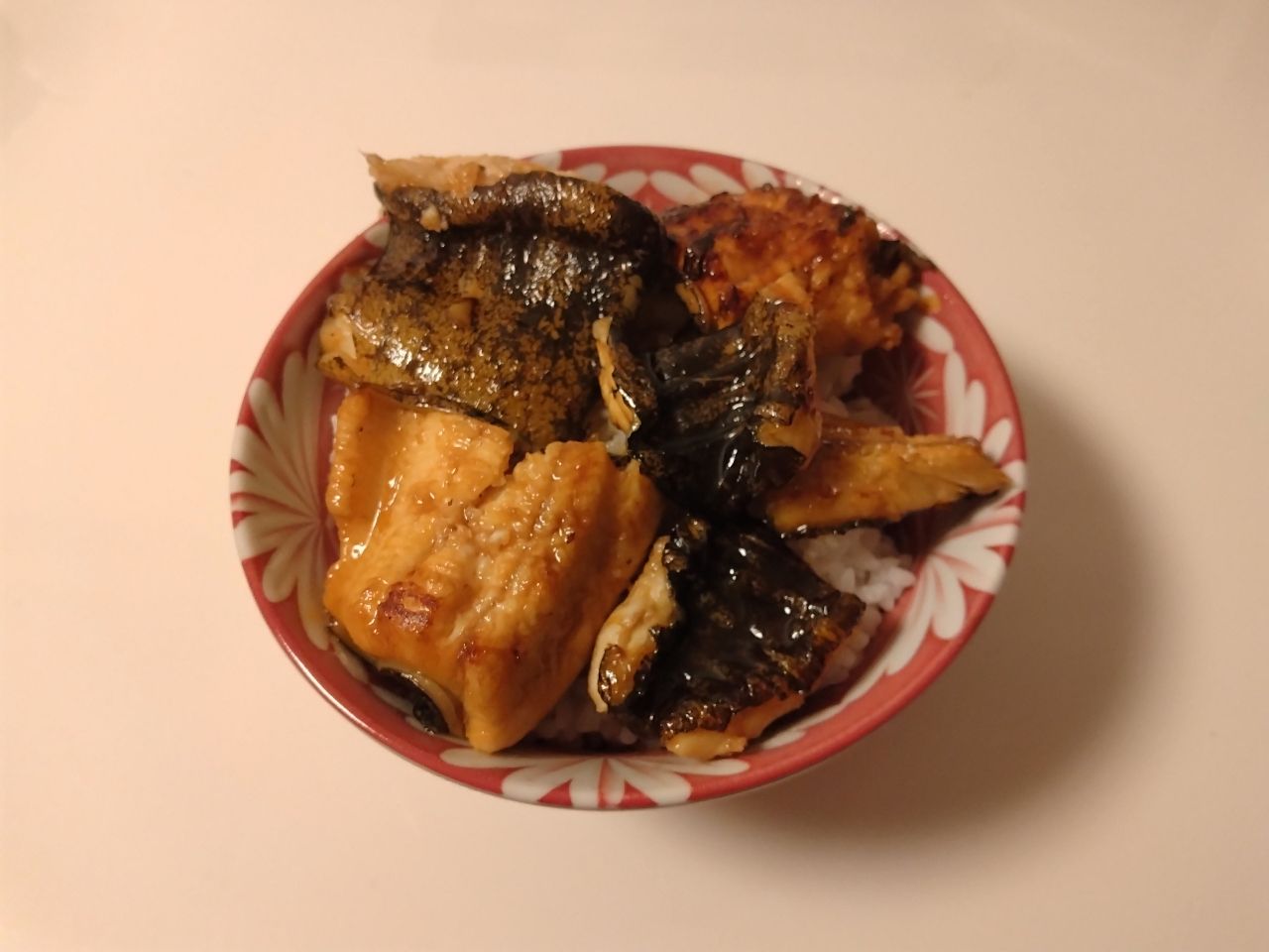 ウツボ
