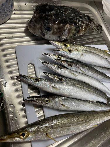 熱海港