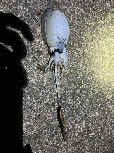 深浦