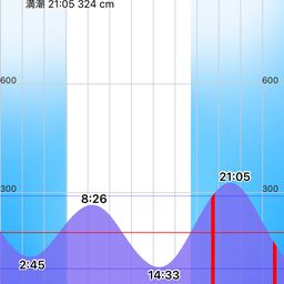 アオリイカ