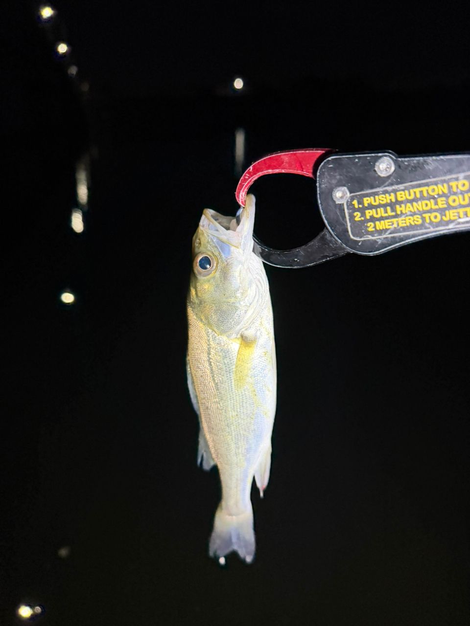 GCRAFT セブンセンスSR ミッドナイトモンスター MMS-982-SRの最