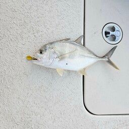 メッキ