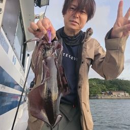 アオリイカ