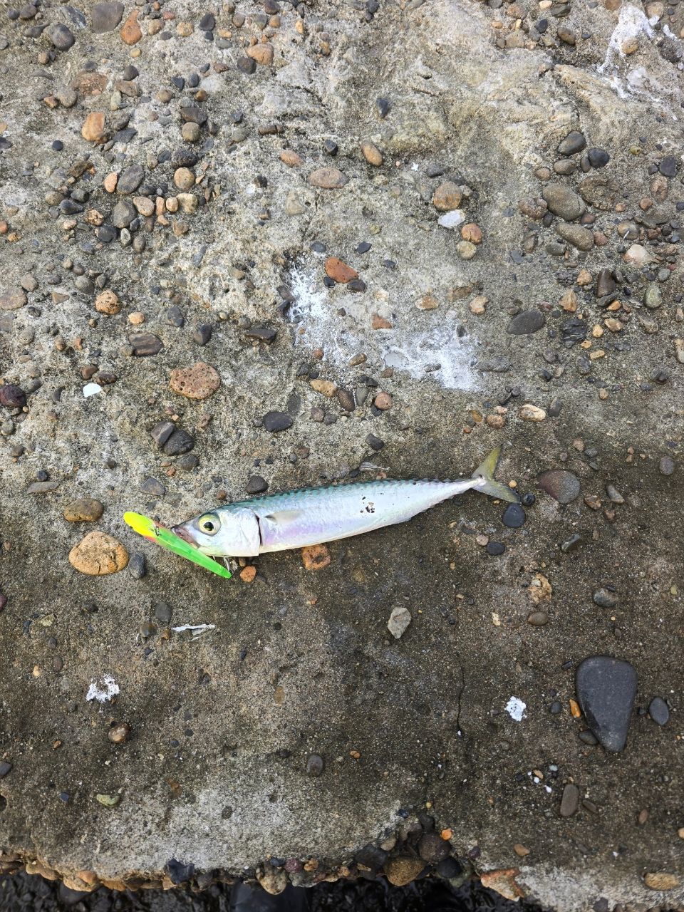 グランデージSTD 96MH アピア GRANDAGE STD. 96MH - 釣具のポイント 【公式】オンラインストア