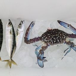サバ