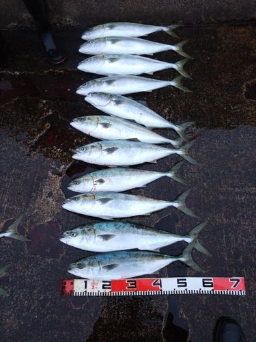 釣果