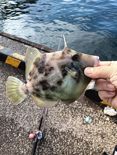 製氷所前
