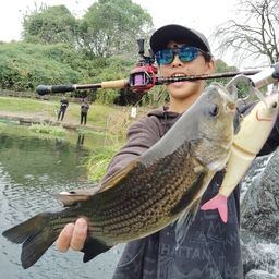 ブラックバス