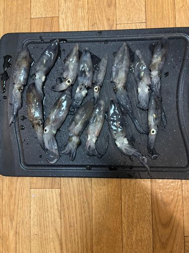 色内埠頭