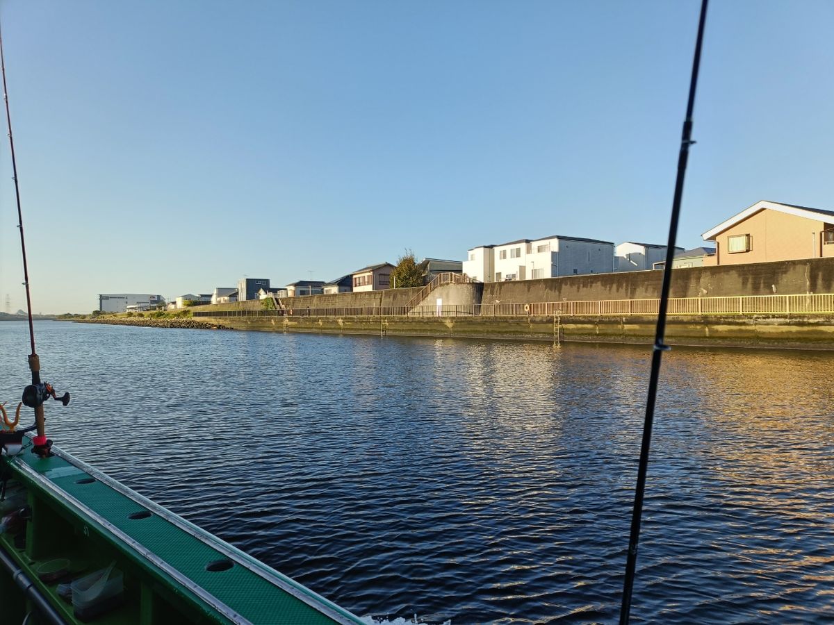 STIVさんの釣果 2枚目の画像