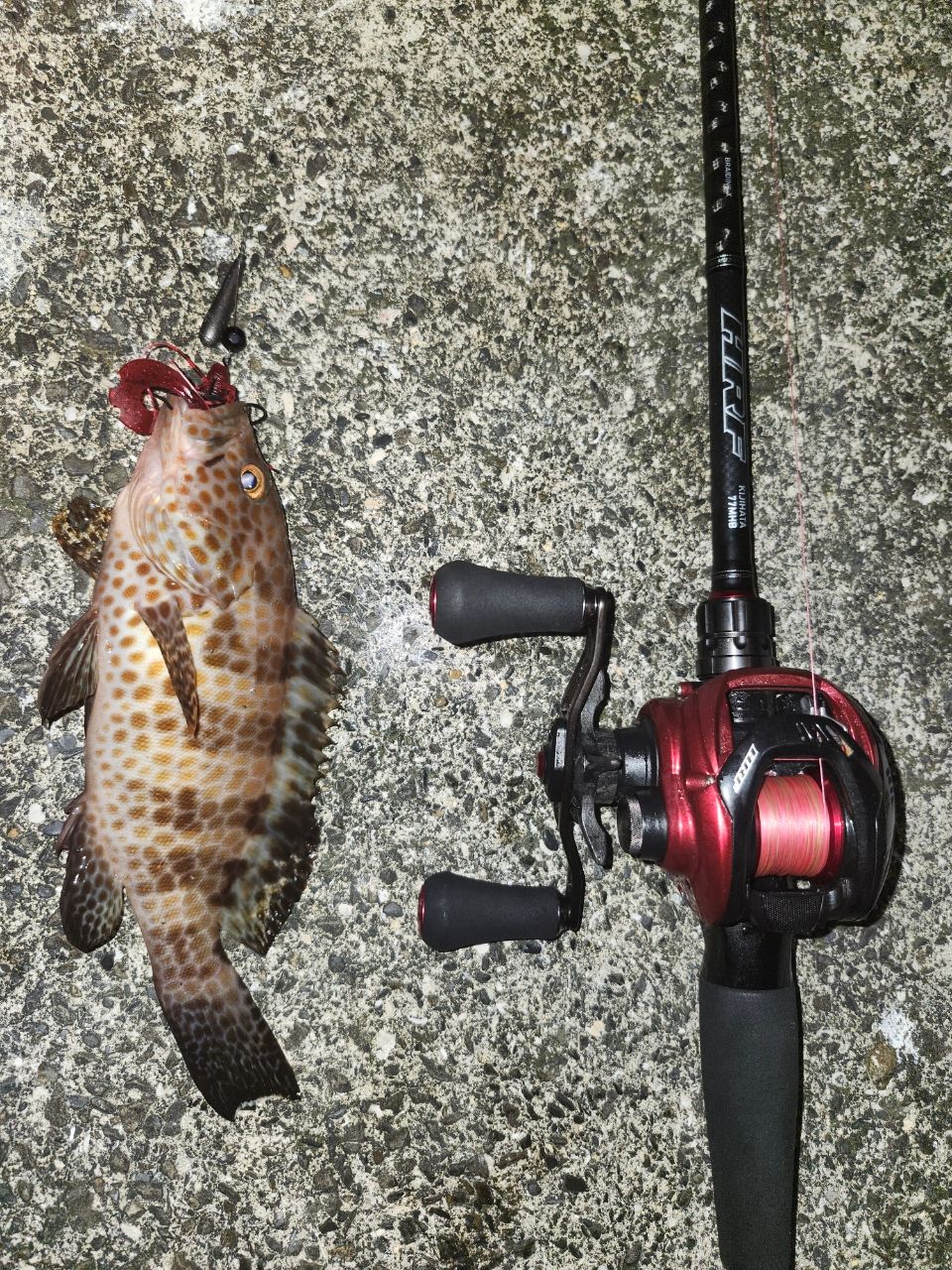 DAIWA 20HRF® PE スペシャル 8.1L-TWの最安値・インプレ・釣果