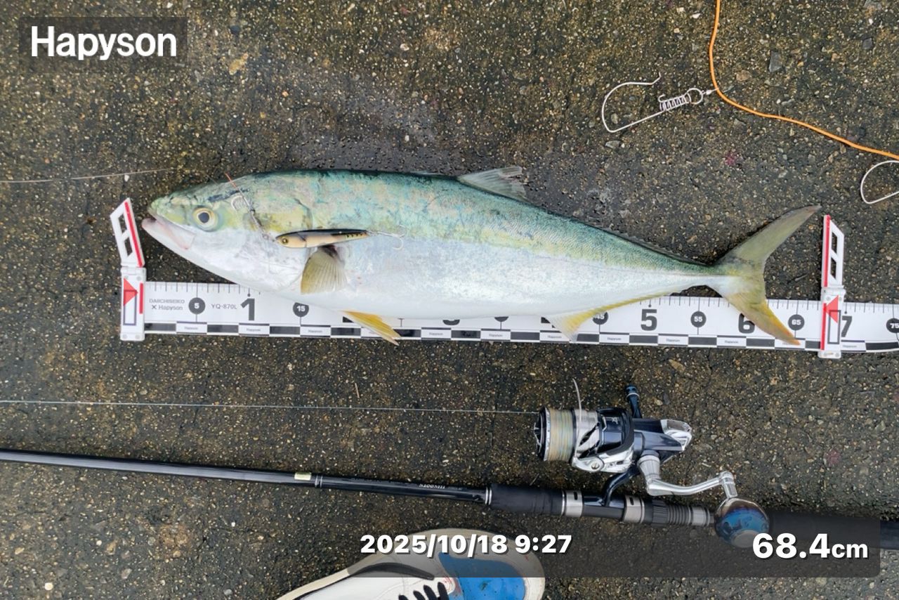 【美品】最終値下げ　ラグゼ コヨーテS100MH f-marin_4549018607710