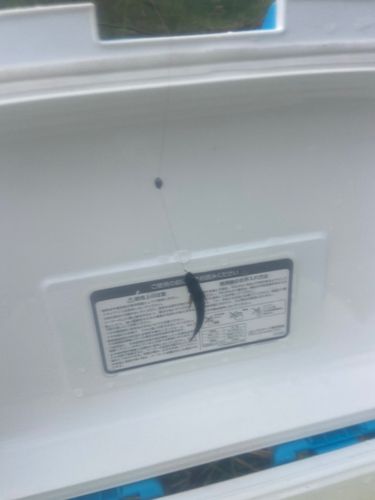 チチブの釣果