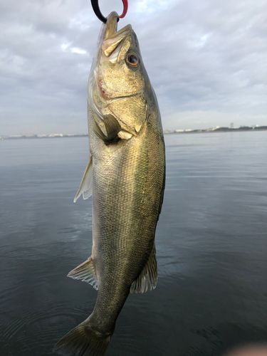幕張海浜公園