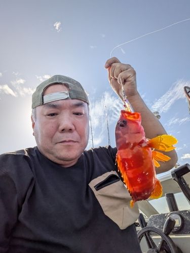 アカハタの釣果