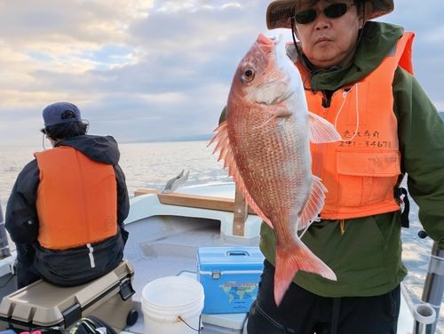 マダイの釣果