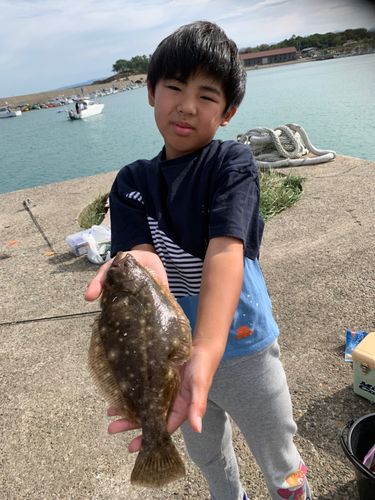 ソゲの釣果
