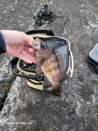 釣果