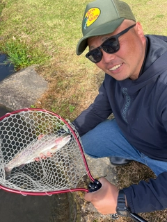 ニジマスの釣果