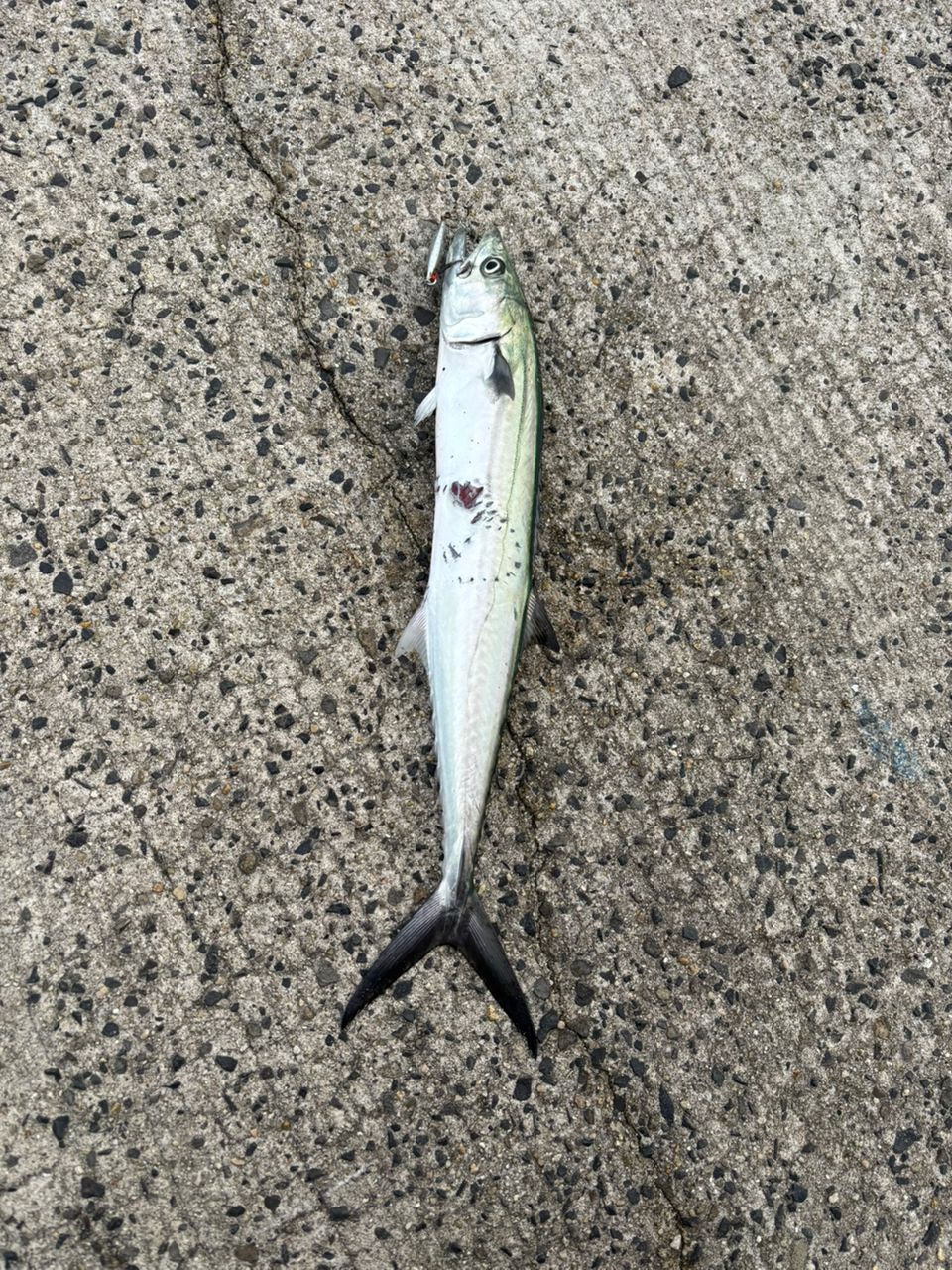 ★美品★シマノ　エンカウンター　19 S96M シマノ シマノ／SHIMANO エンカウンター S96M （19