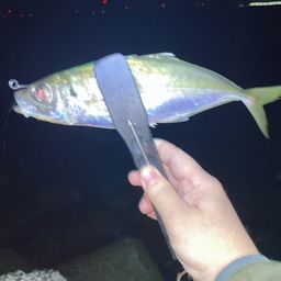 アジ