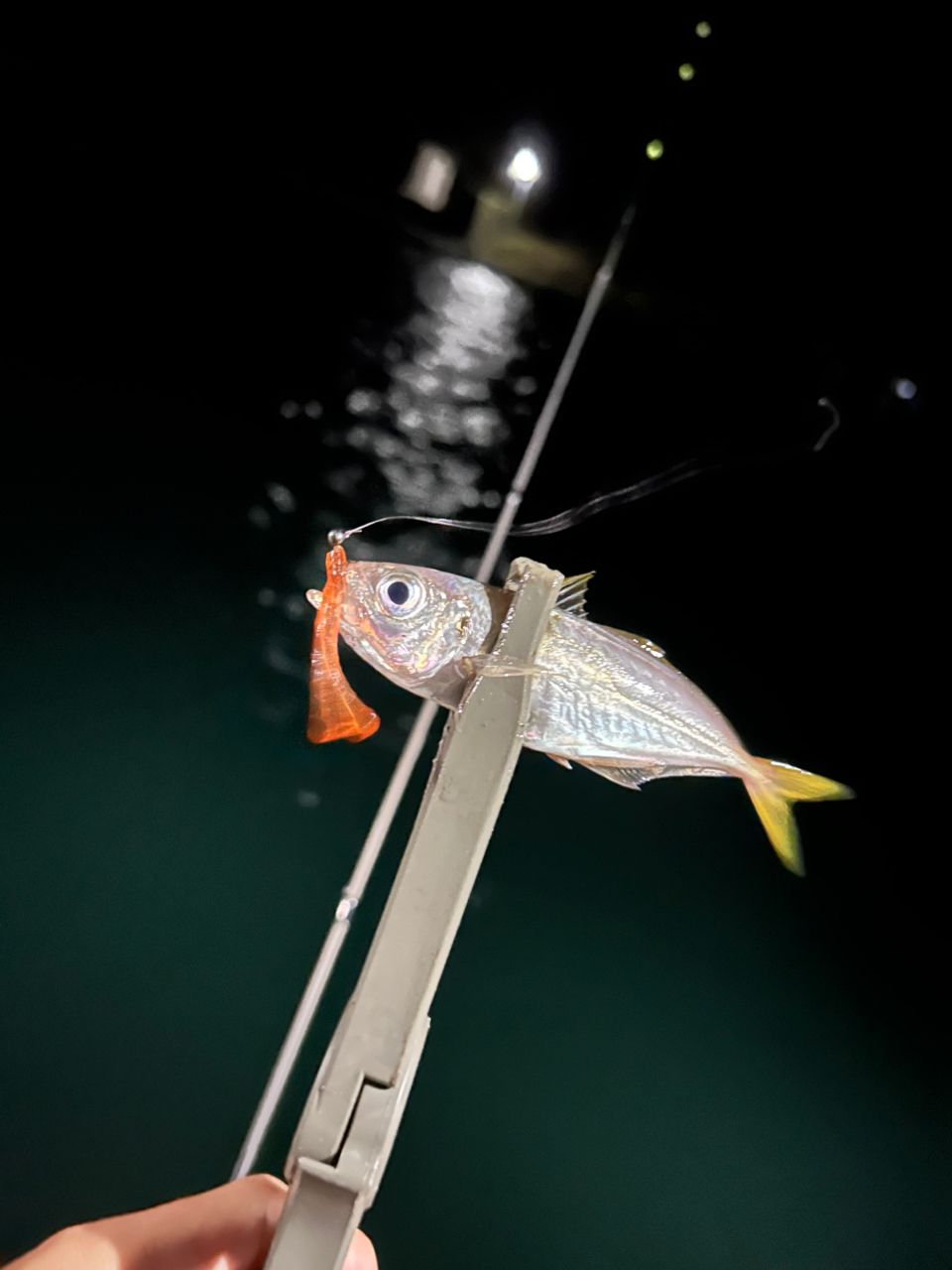 MajorCraft 鯵道 5G AD5-S582L/AJIの最安値・インプレ・釣果