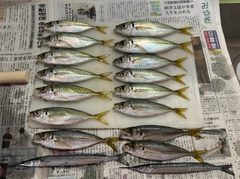 釣果