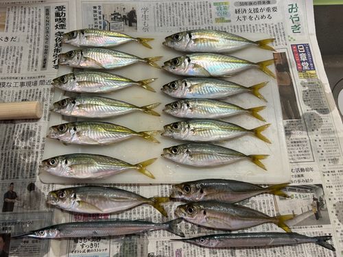 寄磯漁港