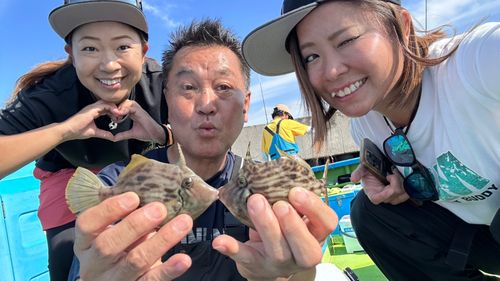 カワハギの釣果