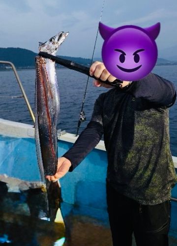 タチウオの釣果