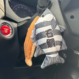 イシダイ