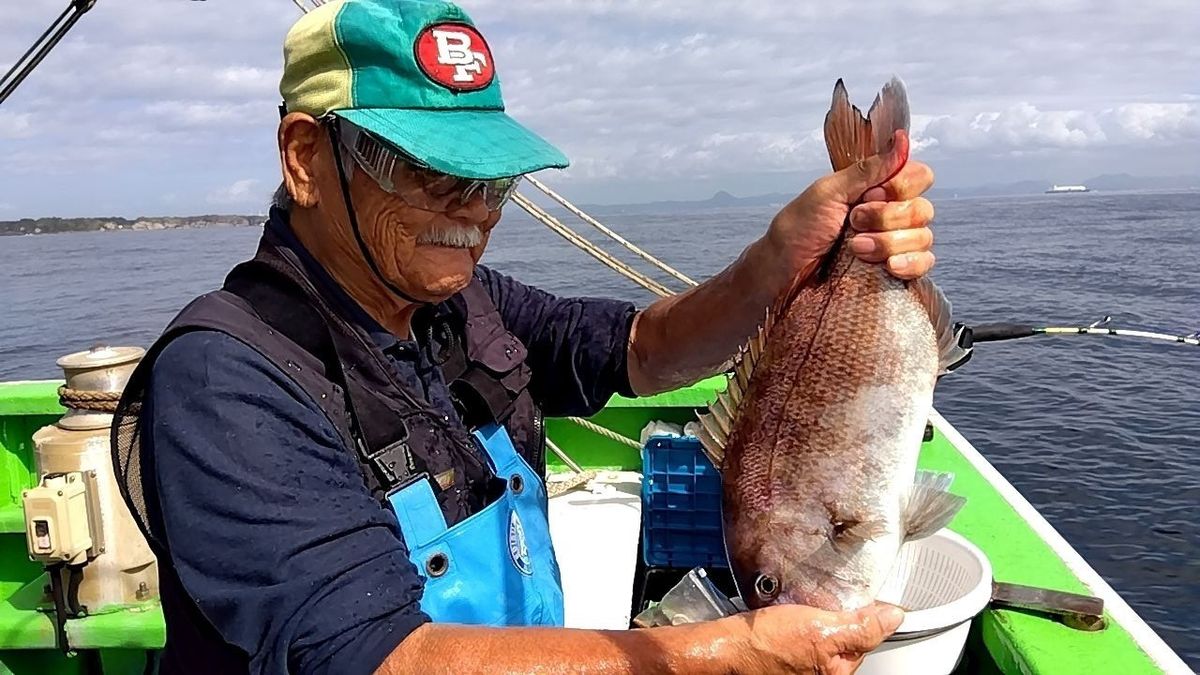 せどおと丸さんの釣果 3枚目の画像