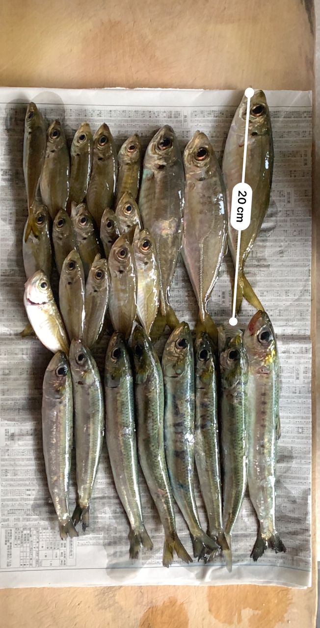 SHIMANO 21ソアレXR S68UL-Sの最安値・インプレ・釣果 | 本音の