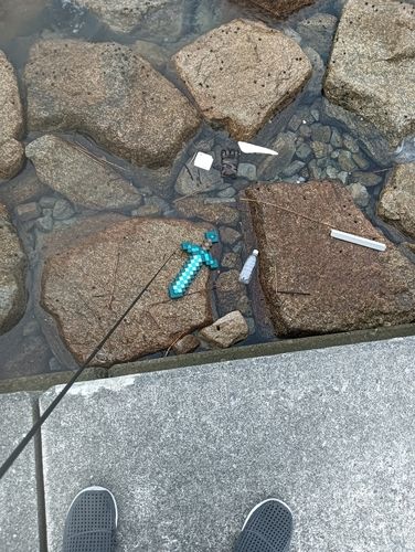 釣果