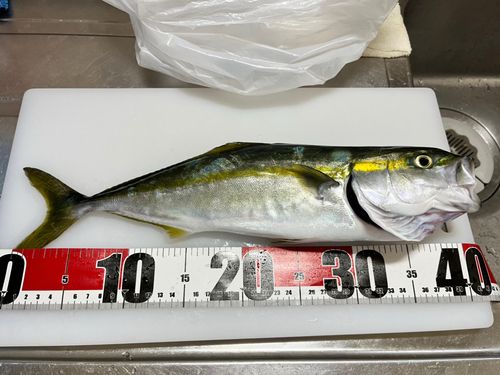 湯河原海浜公園