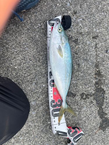 吉浜湾